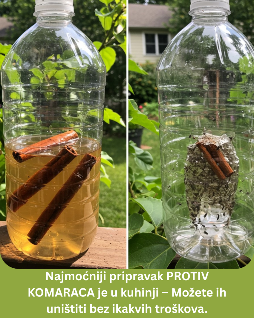 najmocniji-pripravak-protiv-komaraca-je-u-kuhinji-–-mozete-ih-unistiti-bez-ikakvih-troskova.