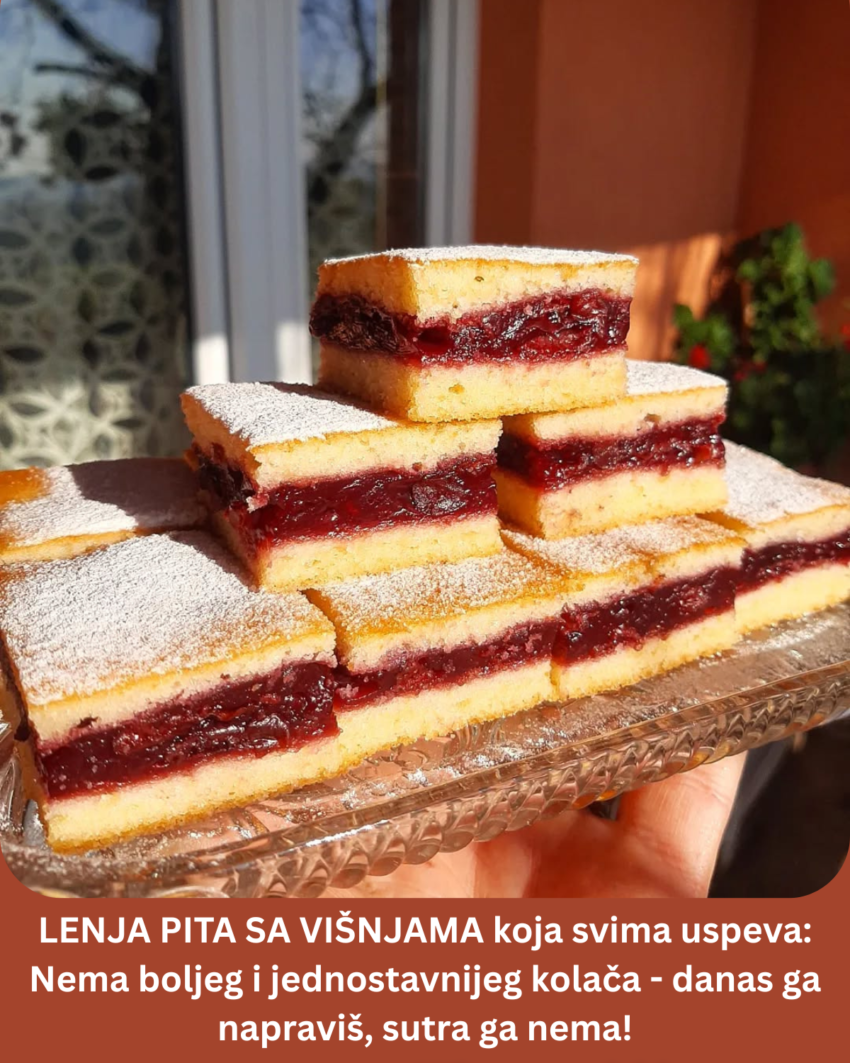 lenja-pita-sa-visnjama-koja-svima-uspeva:-nema-boljeg-i-jednostavnijeg-kolaca-–-danas-ga-napravis,-sutra-ga-nema!