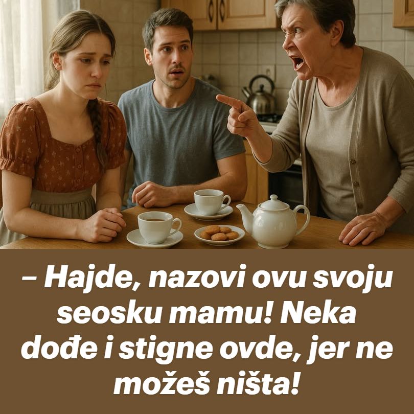 hajde,-nazovi-ovu-svoju-seosku-mamu!-neka-dode-i-stigne-ovde,-jer-ne-mozes-nista!