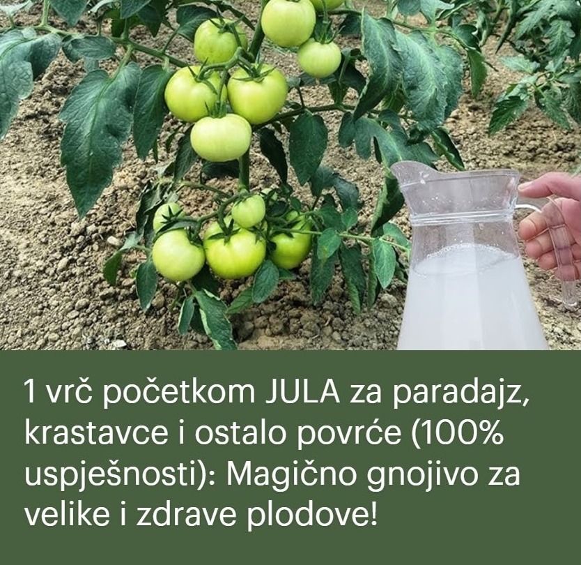 1-vrc-pocetkom-jula-za-paradajz,-krastavce-i-ostalo-povrce-(100%-uspjesnosti):-magicno-gnojivo-za-velike-i-zdrave-plodove!
