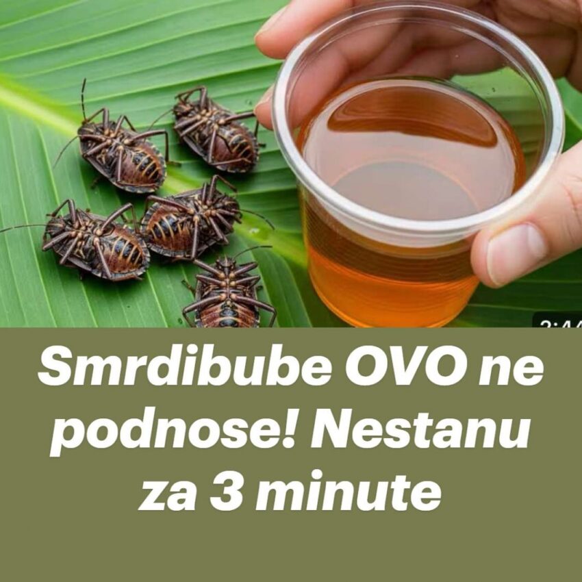 smrdibube-ovo-ne-podnose!-nestanu-za-3-minute