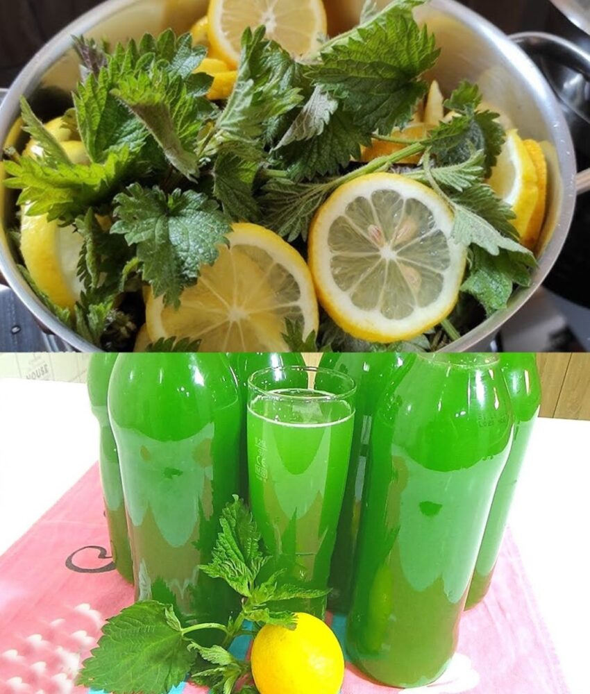 recept-za-sirup-od-koprive:-obavezno-ga-zabiljezite-je-svi-koji-su-ga-probali-su-se-odusevili!