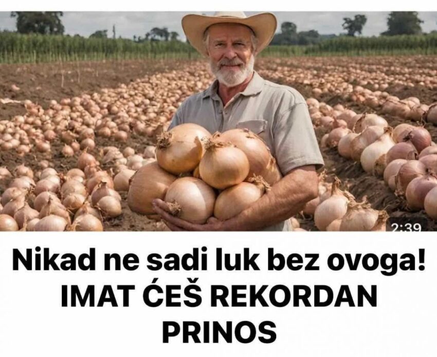 nikad-ne-sadi-luk-bez-ovoga!-imat-ces-rekordan-prinos